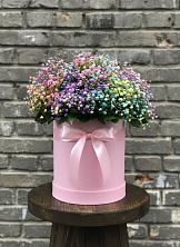 Композиция Яркие эмоции