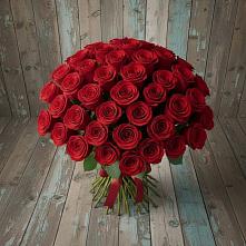 Букет 55 Красных роз Фридом #REPLACE_PRED# Азове