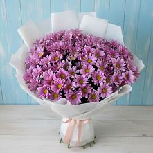 Букет цветов из:  Хризантемы в Азове