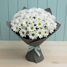 Букет цветов из:  Хризантемы #REPLACE_PRED# Азове