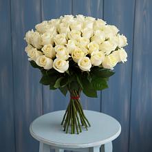 Букет 51 Белая роза Эдлесс Лав #REPLACE_PRED# Азове