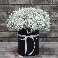 Цветочная композиция из Гипсофила в шляпной коробке в Азове