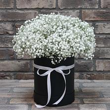 Цветочная композиция из Гипсофила в шляпной коробке в Азове